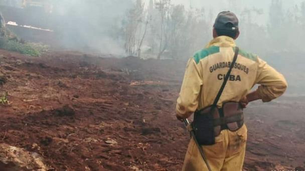 Un incendio forestal activo causa severos daños en el este de Cuba