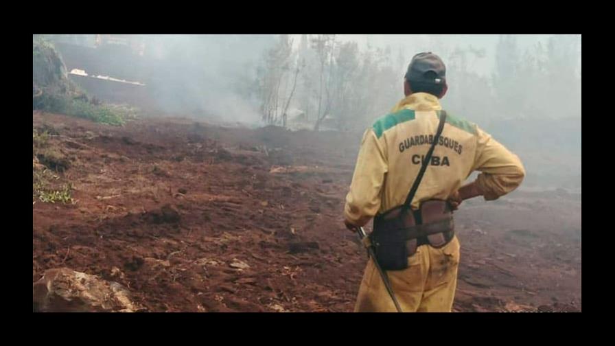 Un incendio forestal activo causa severos daños en el este de Cuba