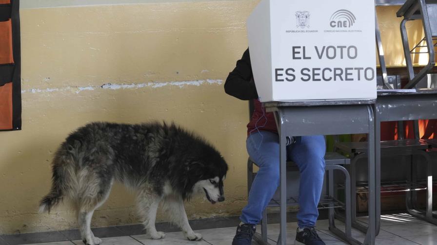 Registran una participación del 80.74 % en los comicios locales de Ecuador Registran una participación del 80.74 % en los comicios locales de Ecuador