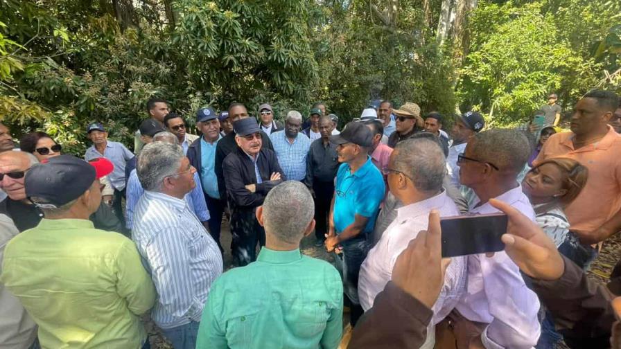 Danilo Medina se reúne con productores aguacates de Azua