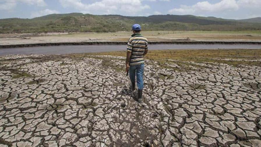 Al menos 2,800 comunidades bolivianas son afectadas por heladas y sequía