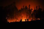 Incendios en Chile dejan más de 20 muertos, casi 1,000 heridos y 800 viviendas destruidas
