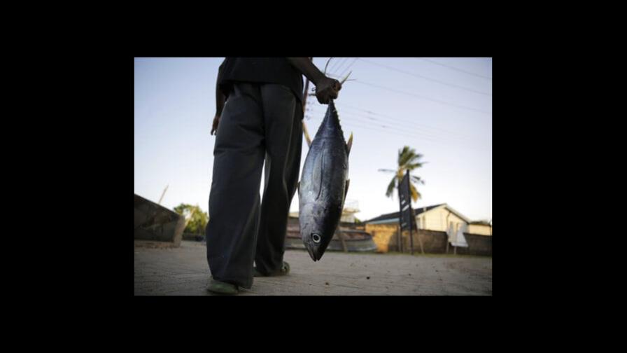 Países del Índico adoptan nuevas reglas de pesca