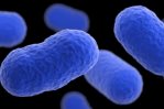 Retiran más de 400 productos de snacks en EEUU por posible brote de listeria Retiran más de 400 productos de snacks en EEUU por posible brote de listeria