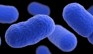 Retiran m&aacute;s de 400 productos de snacks en EEUU por posible brote de listeria