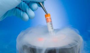 La justicia prohíbe a progenitor de cientos de niños donar esperma en Países Bajos