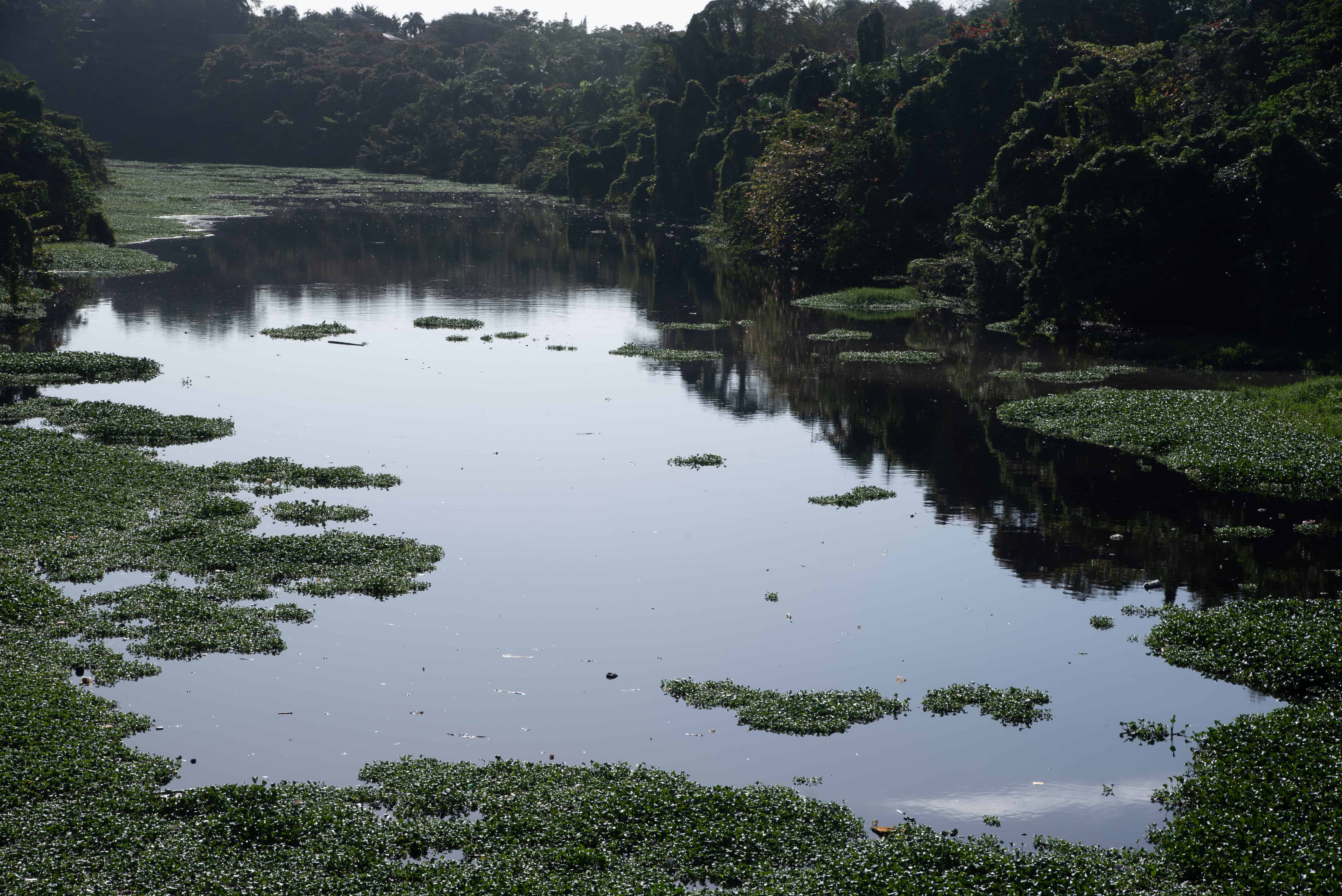 El Isabela por la avenida jacobo Majluta.