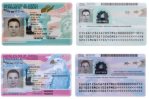 EEUU rediseña las tarjetas de residencia y de empleo para evitar fraudes
