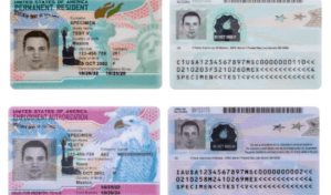 EEUU rediseña las tarjetas de residencia y de empleo para evitar fraudes