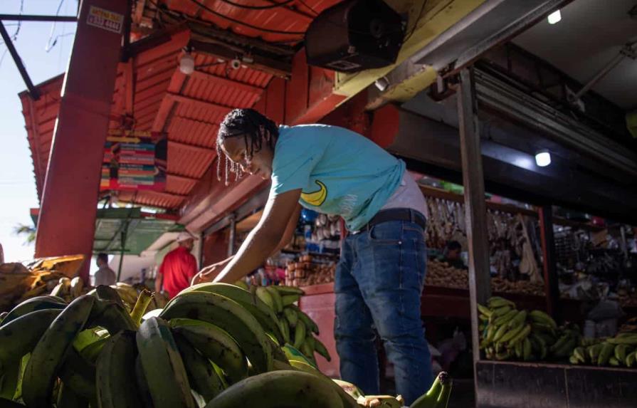Precio del plátano baja en finca, pero consumidores siguen comprándolo caro