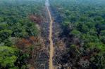 Deforestación en la Amazonía brasileña cae un 61 % en el primer mes de Lula