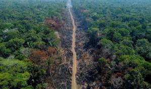 Lula dice que la Amazonía no puede ser un santuario de la humanidad