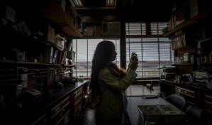 El 44 % de iberoamericanas con estudios superiores se dedica a la ciencia