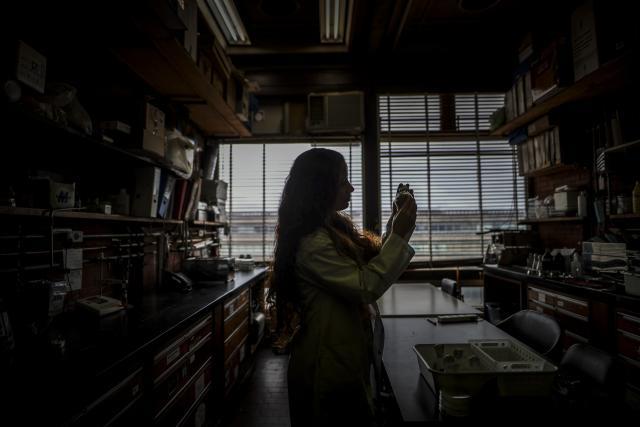 El 44 % de iberoamericanas con estudios superiores se dedica a la ciencia