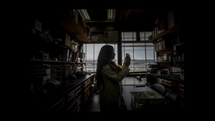 El 44 % de iberoamericanas con estudios superiores se dedica a la ciencia El 44 % de iberoamericanas con estudios superiores se dedica a la ciencia