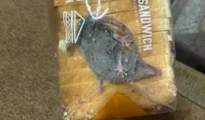 Hombre encuentra una rata viva dentro de una bolsa de pan