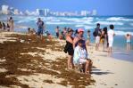 El sargazo en el Caribe mexicano se adelanta en un año que se anticipa récord El sargazo en el Caribe mexicano se adelanta en un año que se anticipa récord