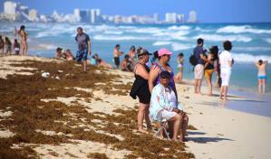 El sargazo en el Caribe mexicano se adelanta en un año que se anticipa récord