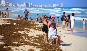 Playas vac&iacute;as y olor insoportable: M&eacute;xico libra dura batalla contra el sargazo