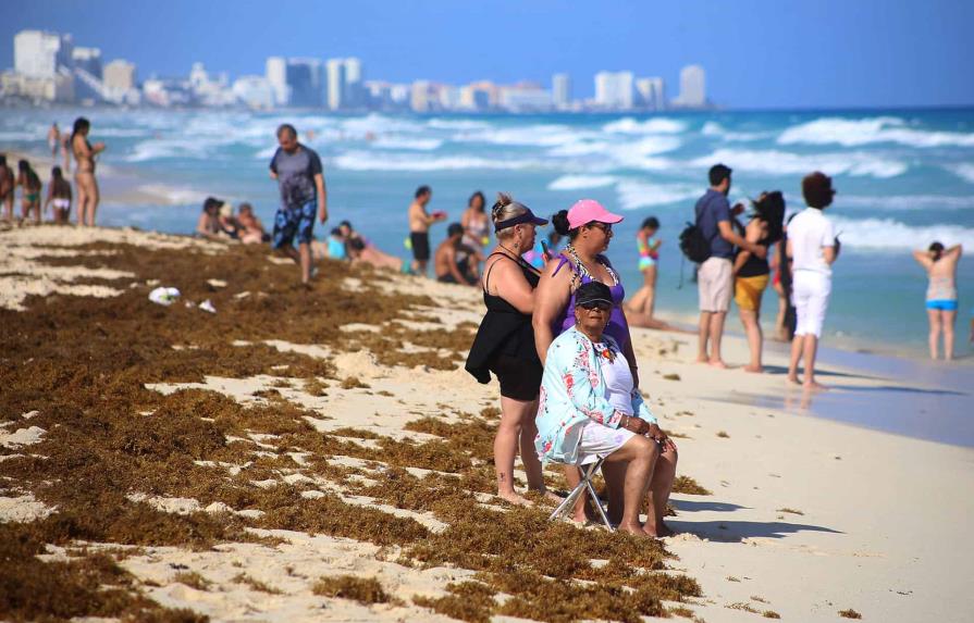 El sargazo en el Caribe mexicano se adelanta en un año que se anticipa récord