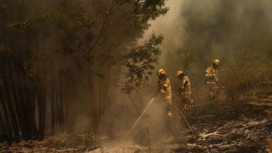 Aumentan a 25 las muertes en los incendios de Chile tras el fallecimiento de un trabajador forestal