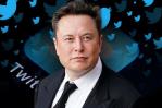 Elon Musk espera tener nuevo CEO para Twitter a final de año