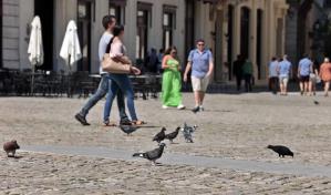 Se encienden las alarmas en Latinoamérica por avance de la gripe aviar