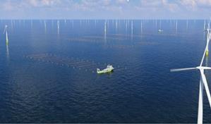 Amazon presenta su primera granja de algas marinas contra el cambio climático