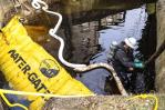 Peligroso químico ha matado miles de peces y animales en Ohio Peligroso químico ha matado miles de peces y animales en Ohio
