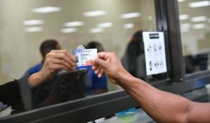¿Cuándo se inicia el proceso de homologación de licencias dominicanas en Nueva York?