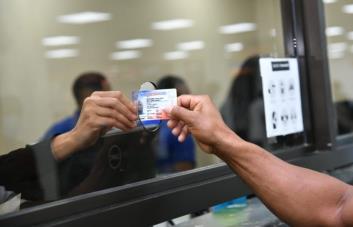 ¿Cuándo se inicia el proceso de homologación de licencias dominicanas en Nueva York?