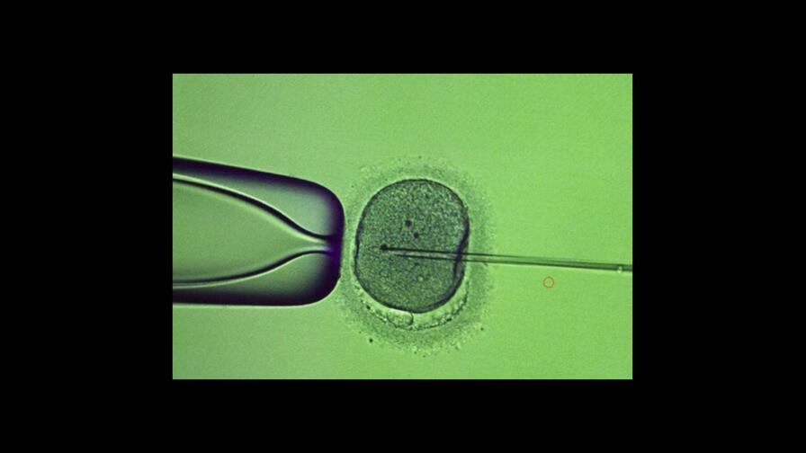 Soldados ucranianos congelan esperma en medio de la guerra