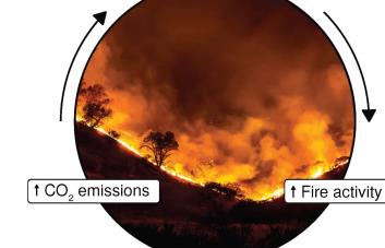Identifican 27 nuevas amenazas que aceleran el cambio climático
