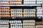 Precios de los huevos continúan en alza; el dolor de cabeza de los hogares de EE.UU.