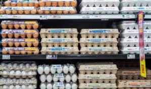 Precios de los huevos continúan en alza; el dolor de cabeza de los hogares de EE.UU.