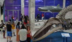 Museo Natural anuncia celebración del "Carnaval en el Museo: ciencia, patriotismo y conservación"