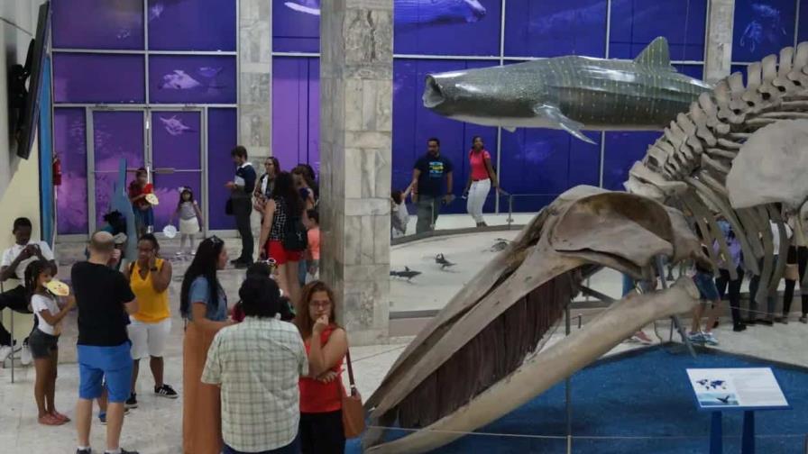 Museo Natural anuncia celebración del “Carnaval en el Museo: ciencia, patriotismo y conservación” Museo Natural anuncia celebración del “Carnaval en el Museo: ciencia, patriotismo y conservación”