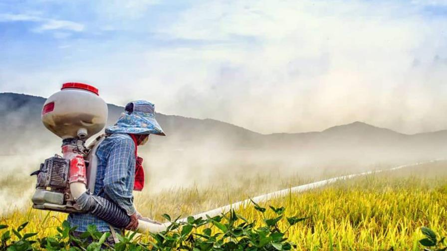 EEUU busca restaurar protecciones a trabajadores agrícolas contra pesticidas
