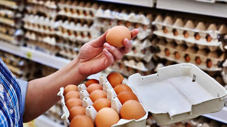 La gripe aviar y la inflación empujan a estadounidenses a comprar huevos en México