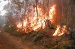 Un incendio forestal afecta zona montañosa del oriente de Cuba