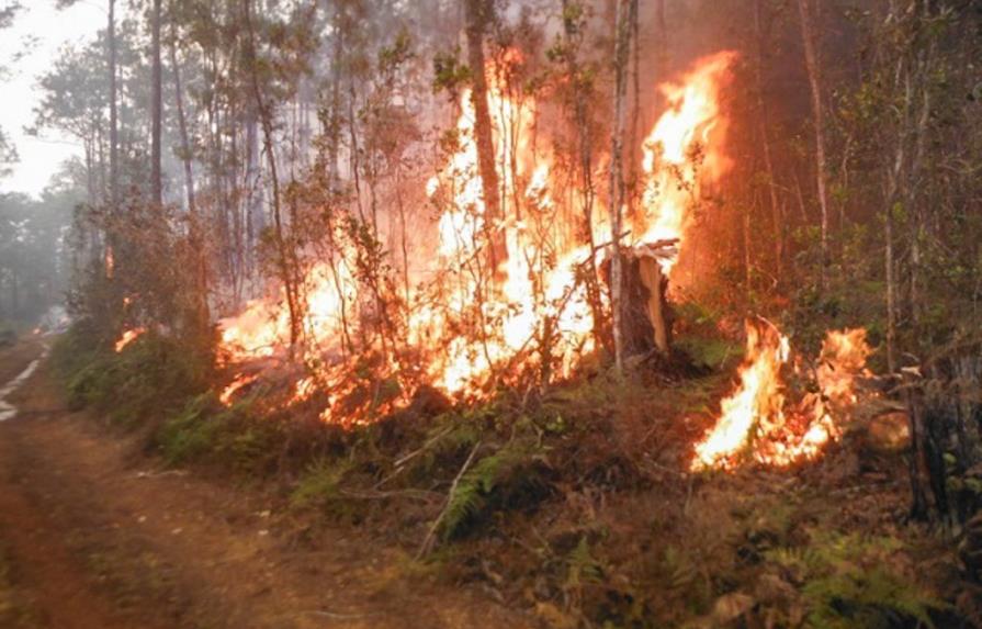 Se desata un incendio forestal en región más occidental de Cuba