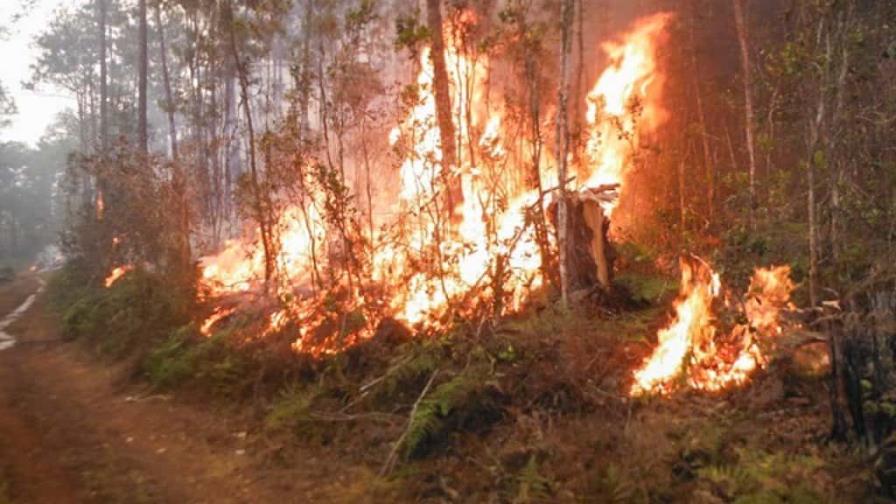 Se desata un incendio forestal en región más occidental de Cuba