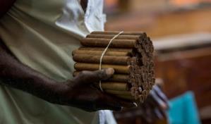 Exportaciones de cigarros puros bajan más de un 3 % en 2022