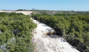Talan miles de metros cuadrados de manglar para construir el muro fronterizo