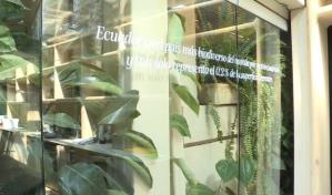 El bosque comestible biodiverso más grande del mundo echa raíces en Ecuador