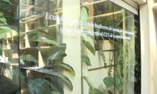 El bosque comestible biodiverso más grande del mundo echa raíces en Ecuador