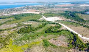 Construcción de muro fronterizo en área protegida no contó con estudio