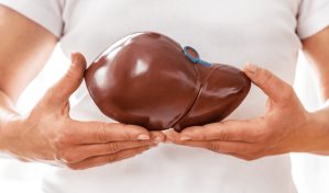 Silimarina y tu h&iacute;gado, &iquest;qu&eacute; es?