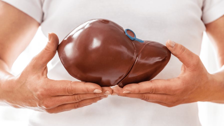 Silimarina y tu hígado, ¿qué es?