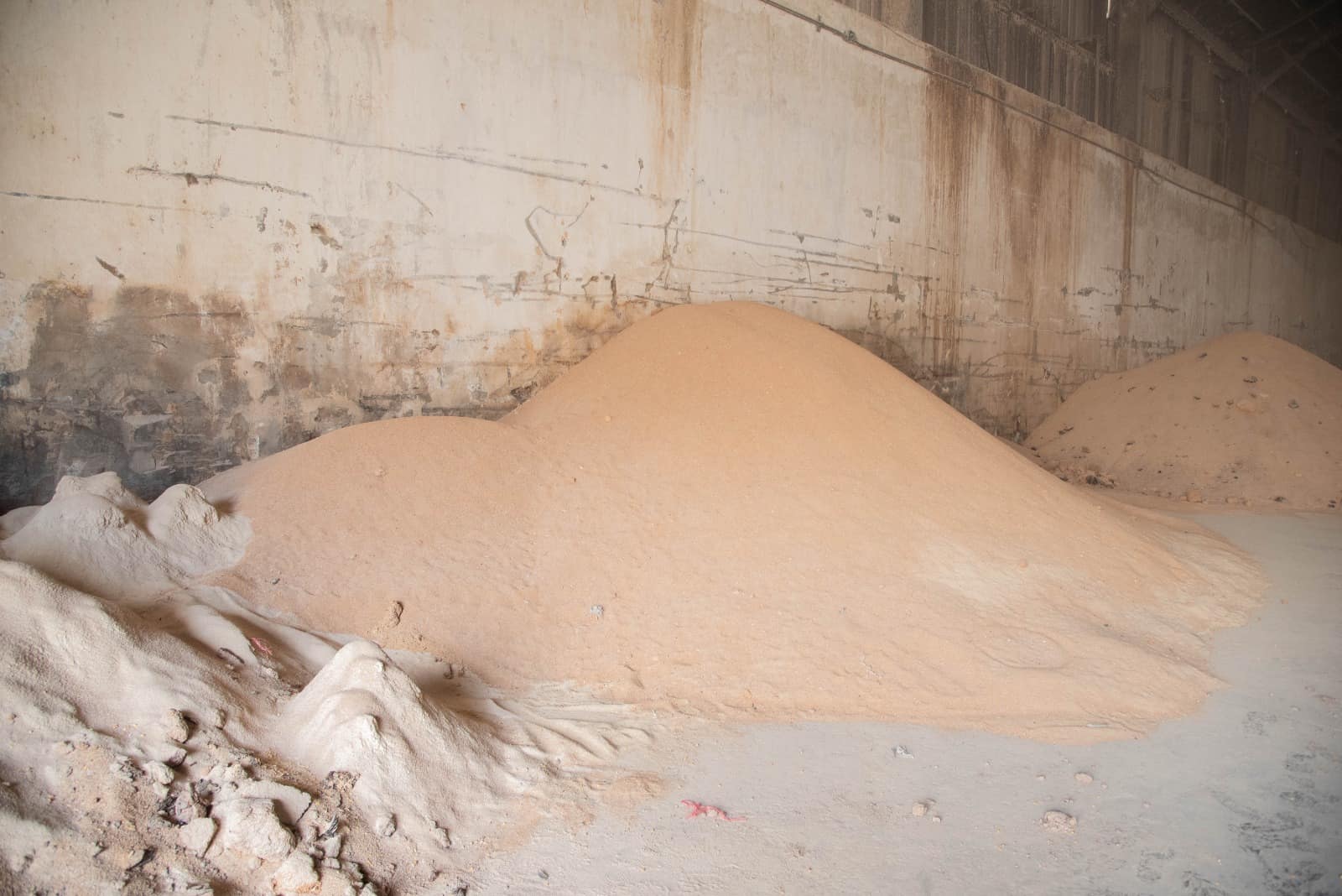 Harina de soya en uno de los almacenes de la Terminal Granelera. 